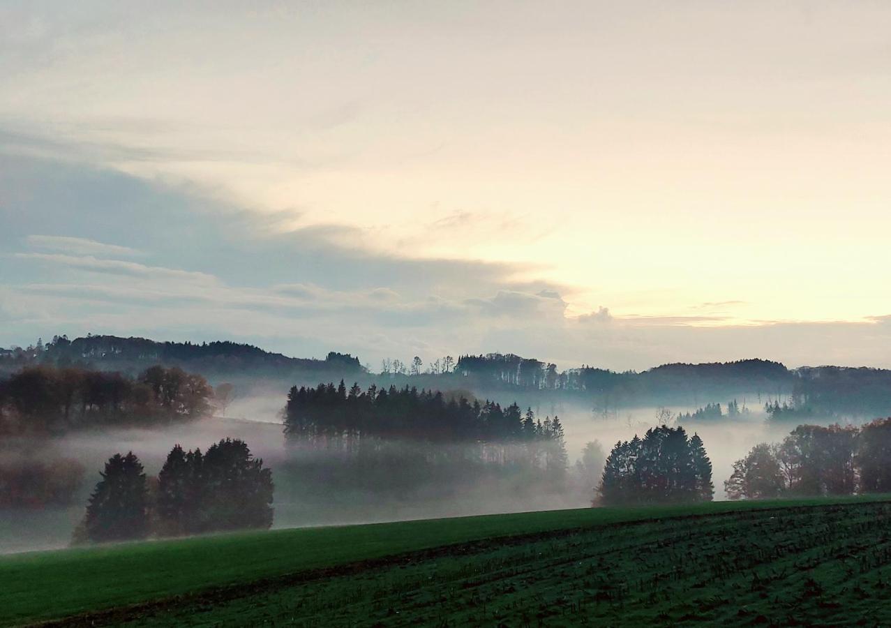 Kleines Haus Mitten In Der Natur Mit Eigener Terrasse Und Sonnenbalkon Halver Eksteriør billede